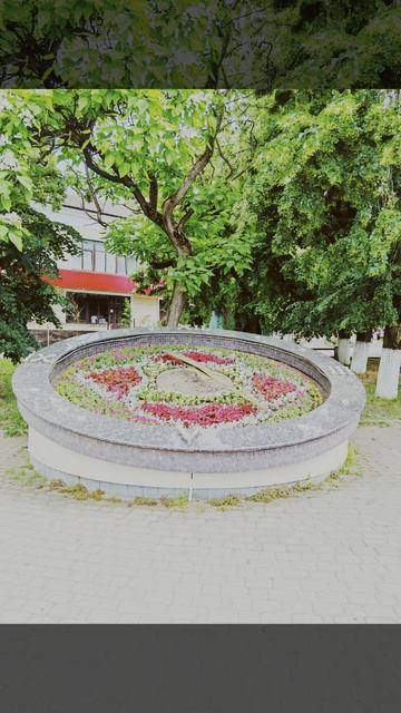 Армавир, Краснодарский край, 14 июня 2025 смотреть онлайн