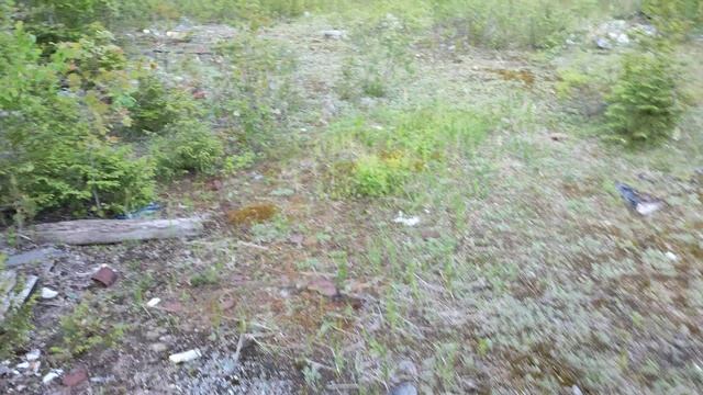 лесная свалка радует находками смотреть онлайн