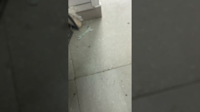 15 ПМ 2 смотреть онлайн