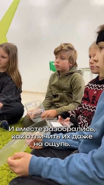 Земляне - Экошажочек 3