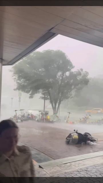 Так выглядит циклон Ziros, который накрыл Питер Петербуржцы сидят дома смотреть онлайн