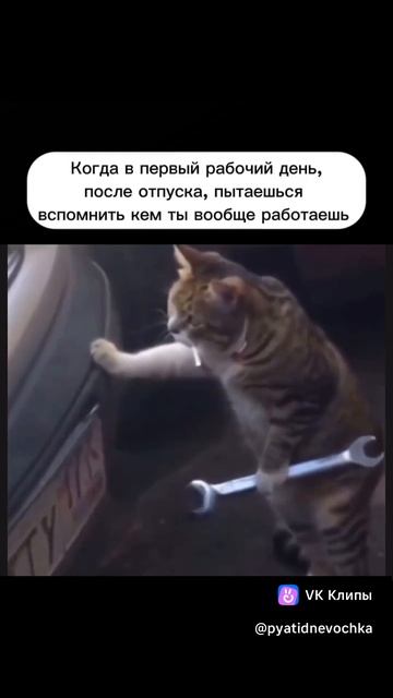 Первый день после отпуска... смотреть онлайн