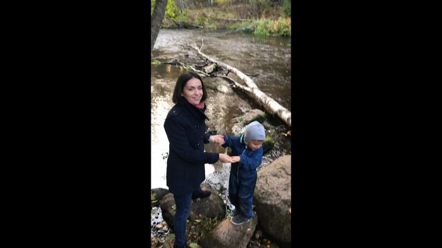 Осенняя Линдуловская роща / Влог смотреть онлайн