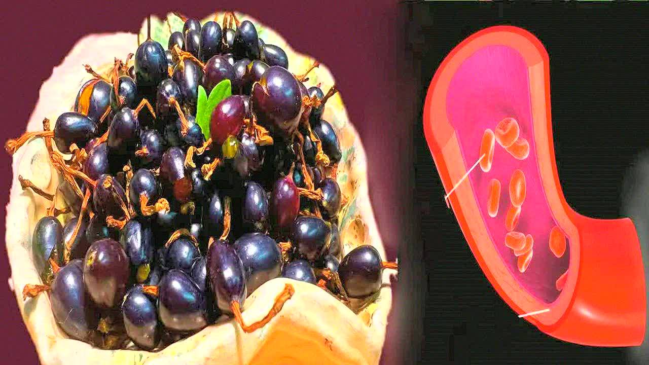 Секрет врачей! Чёрная смородина – чистит сосуды, разжижает кровь, убирает шум в ушах!