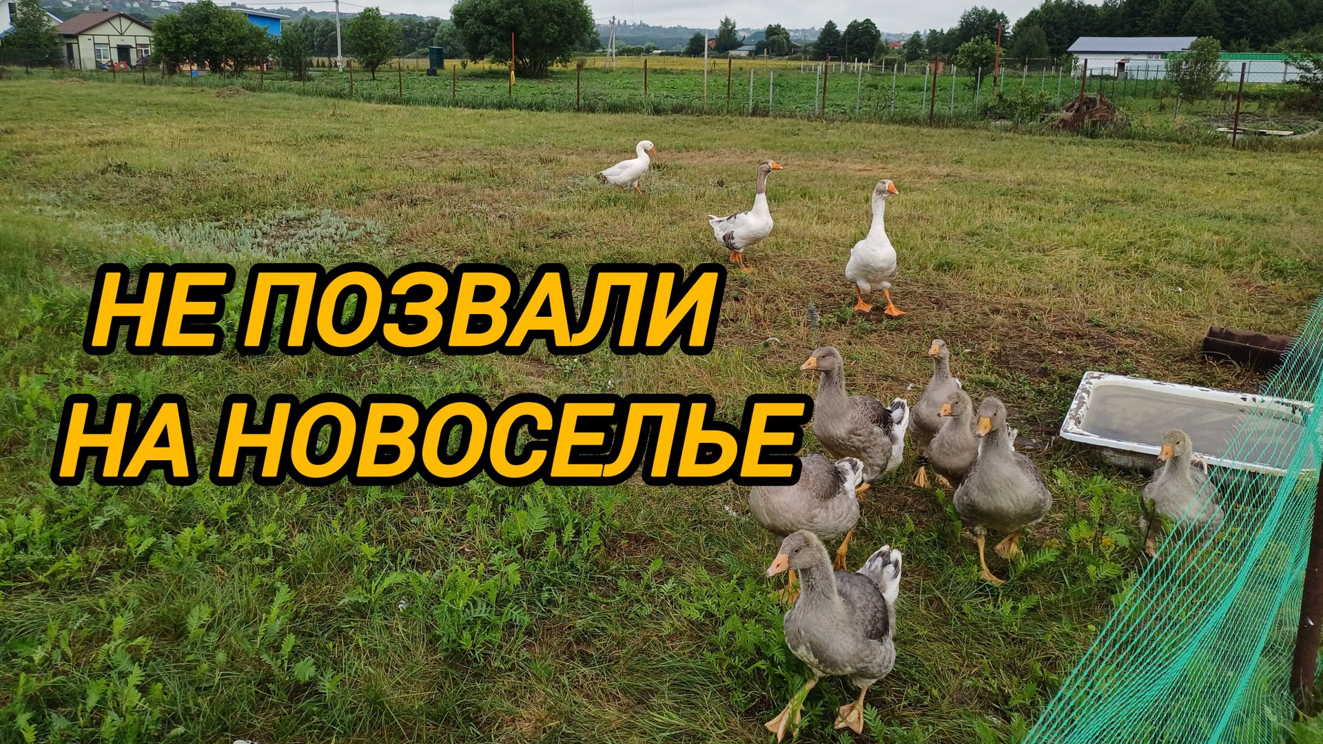 НЕ ПОЗВАЛИ НА НОВОСЕЛЬЕ смотреть онлайн