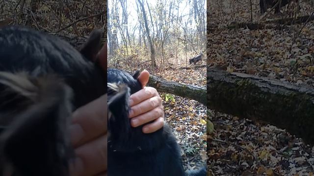 Смельчак однако, Байкал