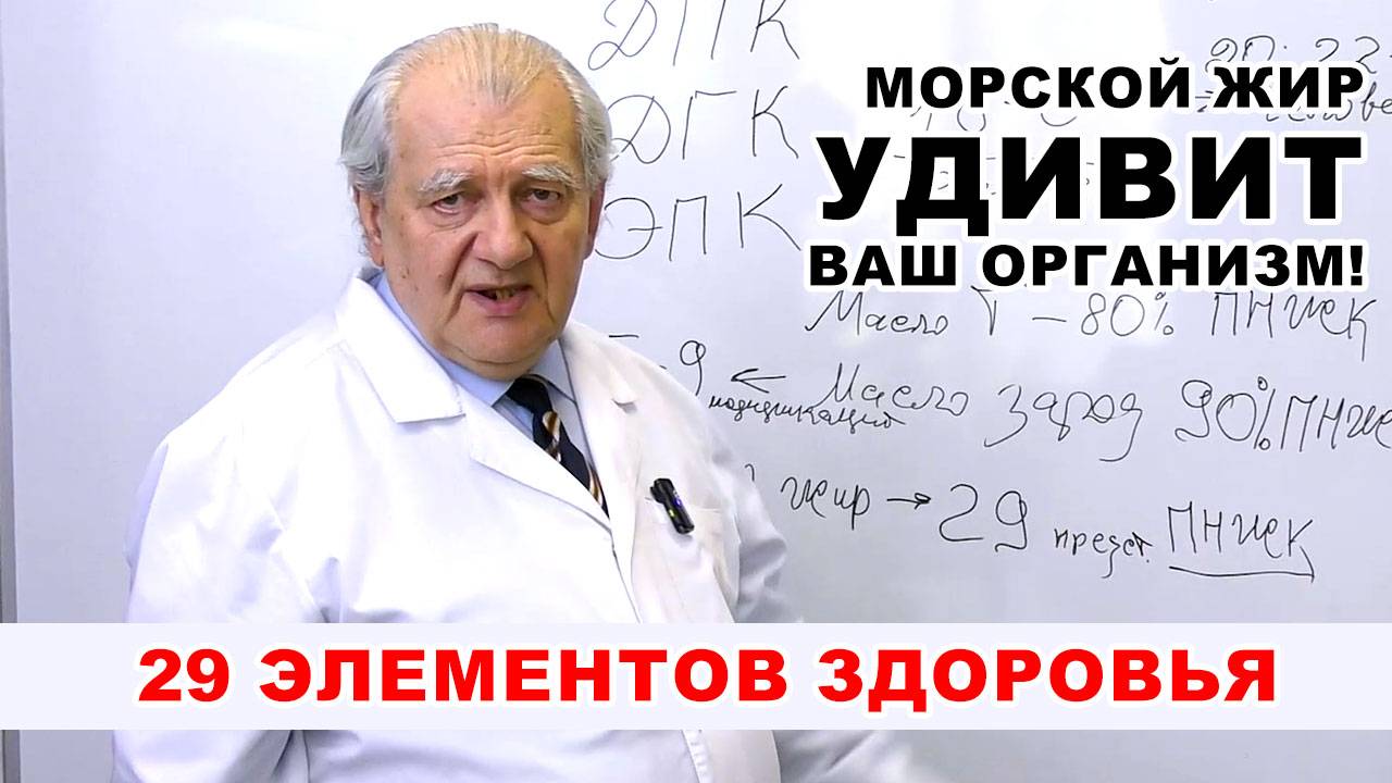 Тюлений жир: Секрет здоровья севера. Всё, что нужно знать о морских жирах \\ Школа Здоровья Салюс