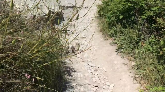 Пляж Сосновка возле Геленджика - красивейшее место у отвесной скалы смотреть онлайн