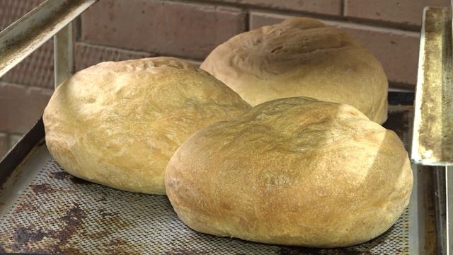 Региональный конкурс на знание темы органической продукции в Алтайском крае 2024-2025 смотреть онлайн