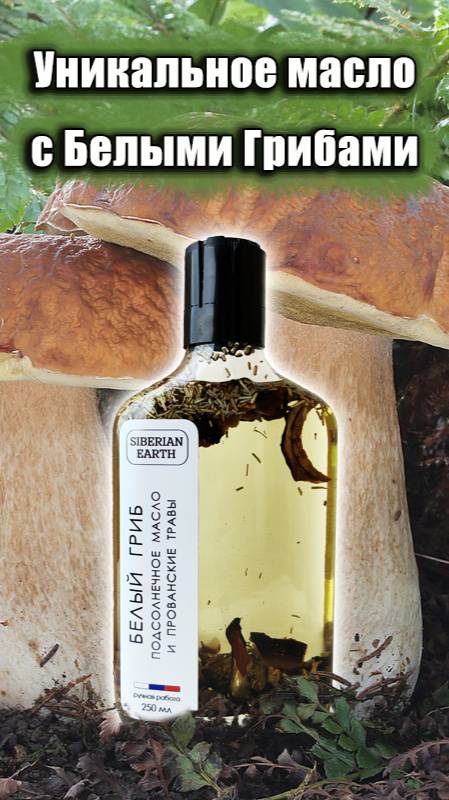 Как я делаю масло с белыми грибами и прованскими травами смотреть онлайн