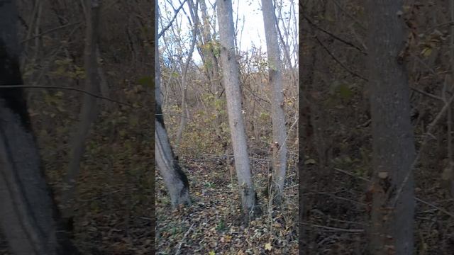 Костерок погашен. Курс- домой.