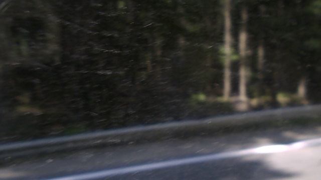 DSCN8095Домбай,канатка,Теберда,зоопарк июнь 2025