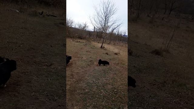 В начале маршрута