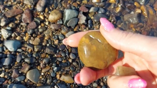 Прогулка по Томи август-сентябрь 2024 смотреть онлайн