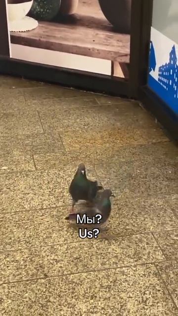 моё первое видео 🥲