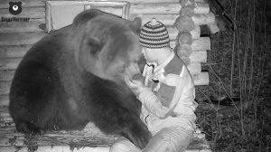 Нежности перед сном