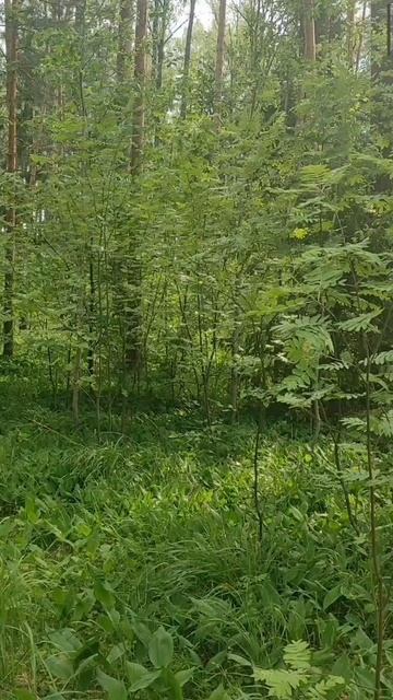 (61) Библия Евангелие от Иоанна глава 14 стих 20-26 смотреть онлайн