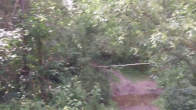 Шлагбаум на моём пути.