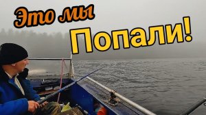 Как пройти через бурю и туман к большому улову