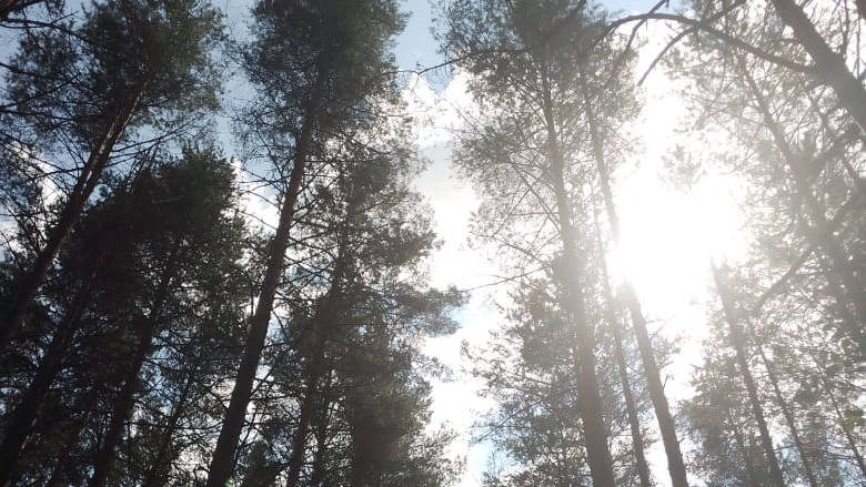 23-06-2025💥родник смотреть онлайн