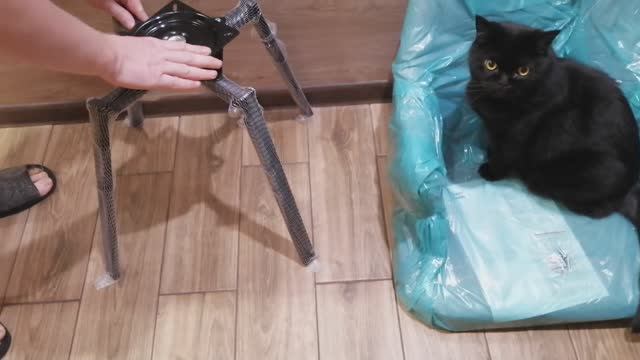 Распаковка и сборка необычного стульчика (кресла). Крутящийся стул! Доступный Лондон для Наташки. смотреть онлайн