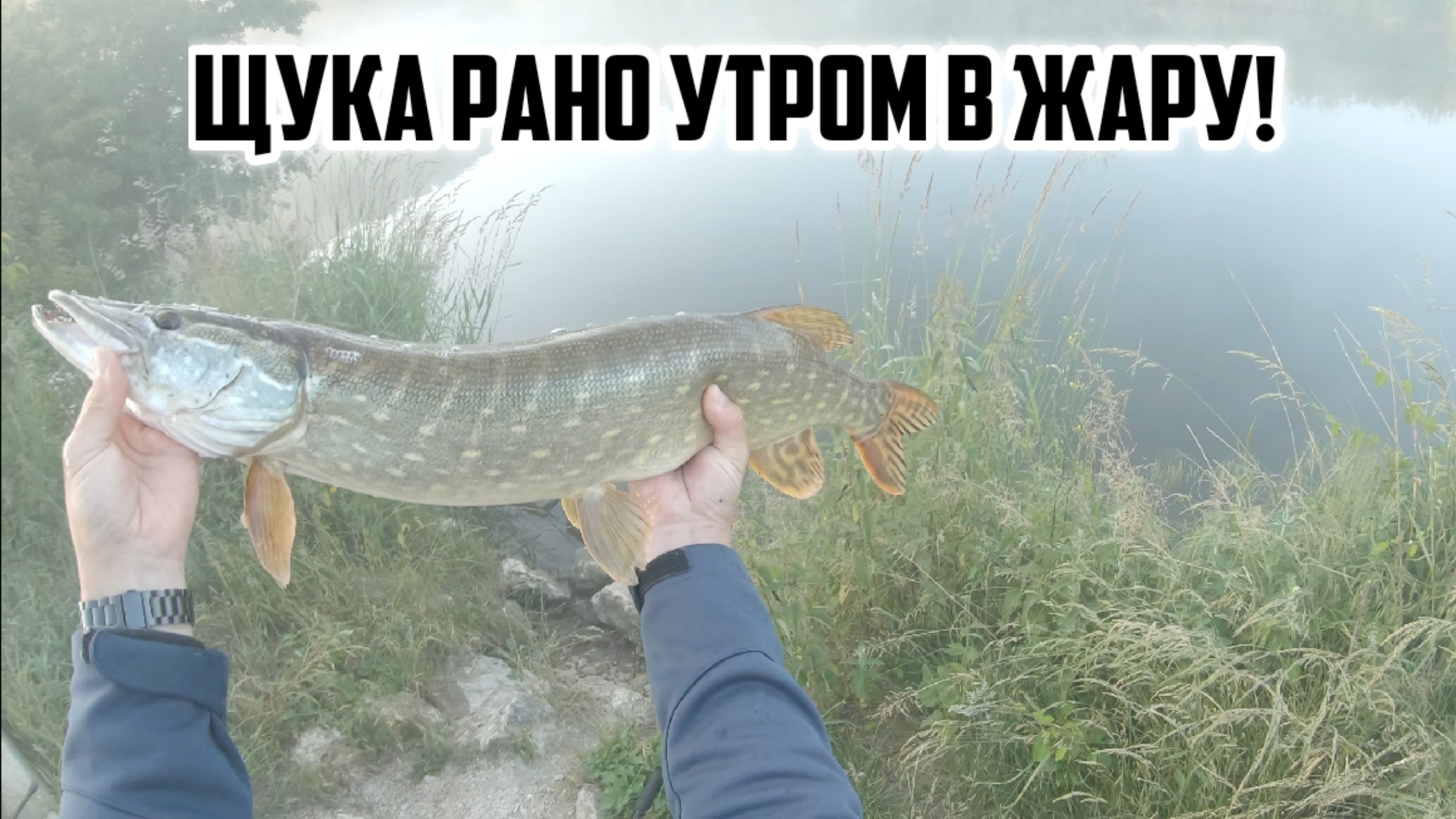 Ловля щуки на новые воблеры! Как и где поймать щуку в жару с берега?! смотреть онлайн