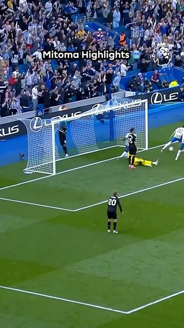 Player Skill Level: смотреть онлайн