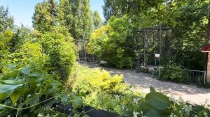 Ночь прошла СТАБИЛЬНО! Олег Зубков боролся со львом пока хватало сил!