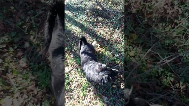 Куда-то не туда мы забурились