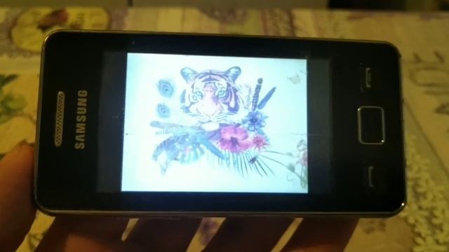 Обзор телефона Samsung S5260 Star 2