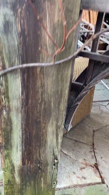 Обработка сруба-это защита деревянного дома