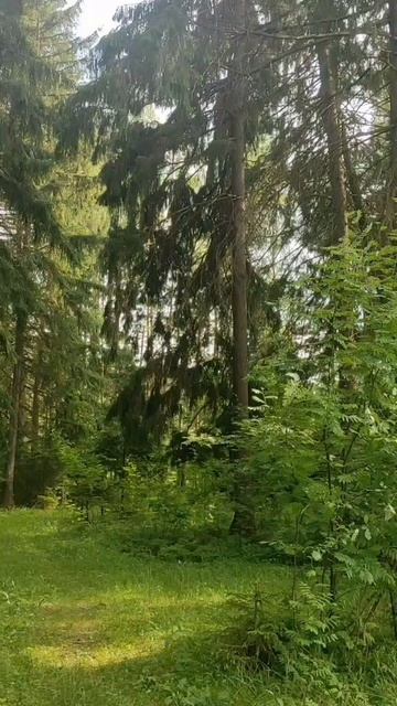 (57) Библия Евангелие от Иоанна глава 13 стих 22-32 смотреть онлайн