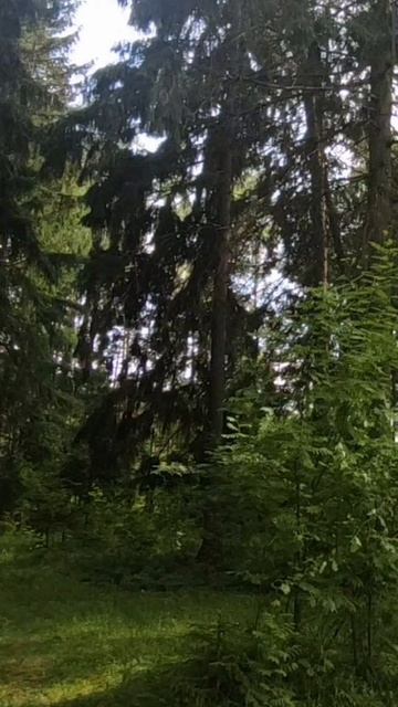 (62) Библия Евангелие от Иоанна глава 14 стих 27-31 смотреть онлайн