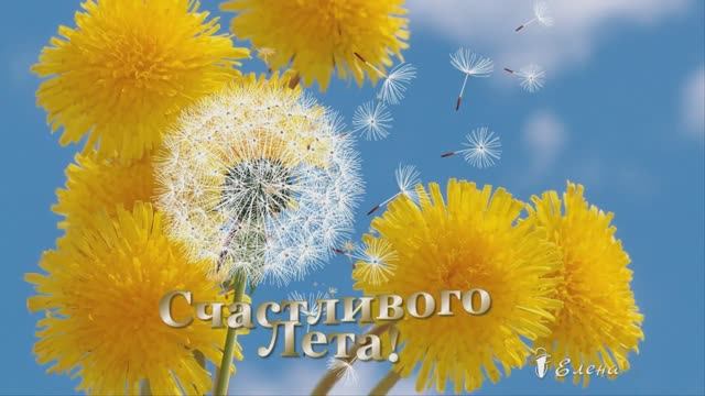 Счастливого ЛЕТА   *  Валерий Капризов