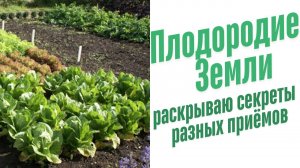 Как создать эко огород?