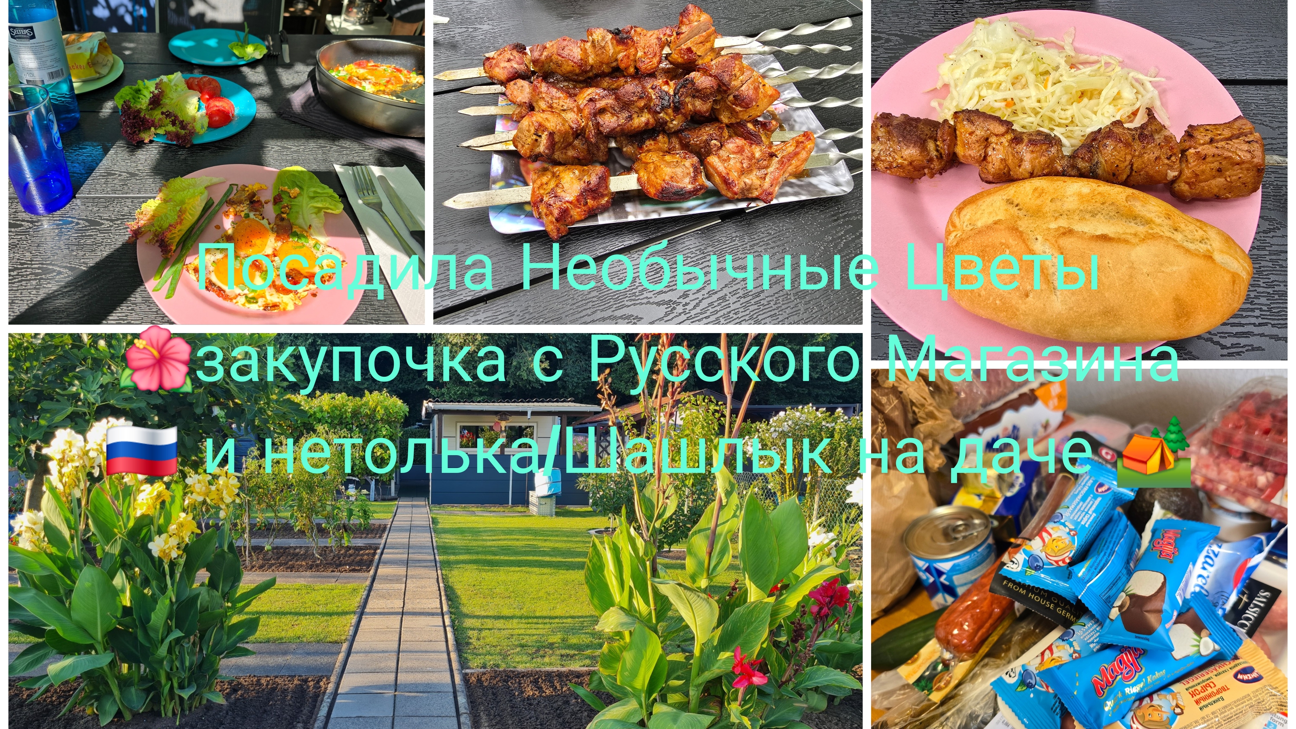 vlog 🇩🇪 Жизнь в Германии/Дача 🏕/Посадка Необычный Цветов 🌺Жарим Шашлыки/Закупка 🛒🛍 смотреть онлайн