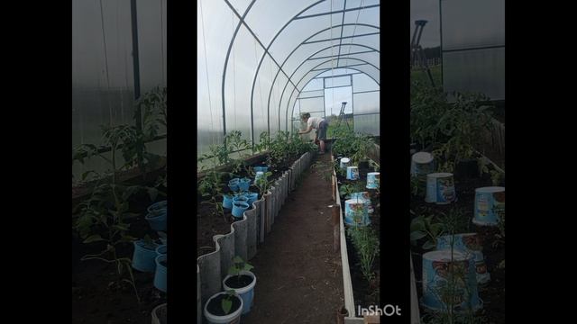 VLOG: Чистота и порядок.