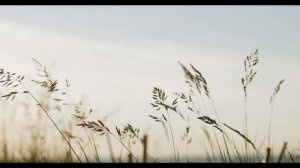 "Бер кайтмасам эсэй бер кайтырмын"
исполняет Роза Ахунова