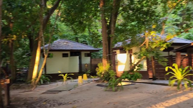 Safari April Thailand Similans Islands 2025