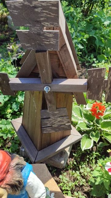 Лилии на даче смотреть онлайн