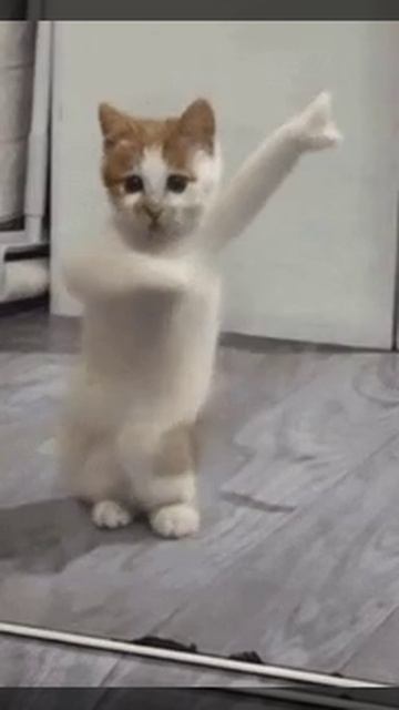 приятного вам денёчка🥰🥰