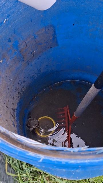 Птичку жалко