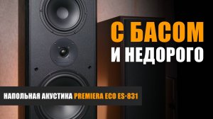 С басом и не дорого. Обзор напольной акустики Premiera ECO ES-831