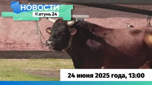Новости Алтайского края 24 июня 2025 года, выпуск в 13:00