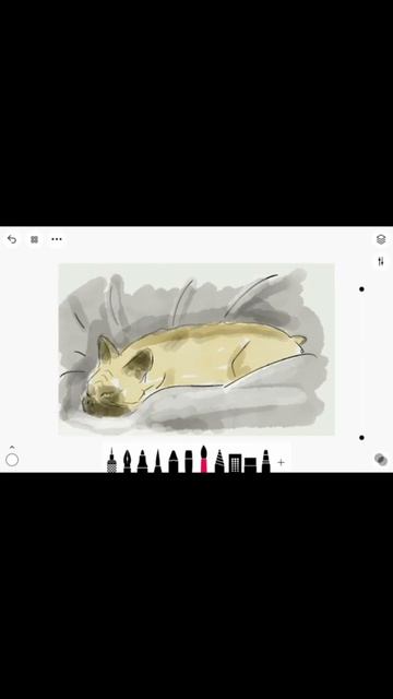 #speeddrawing #frenchbulldog смотреть онлайн