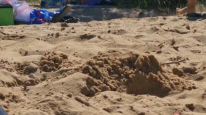 Растём вместе с Нильсом 4 года  10- 11 месяцев