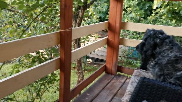 СОЧИ ГОРНОЕ ЛОО УТРО24.06.2025 смотреть онлайн