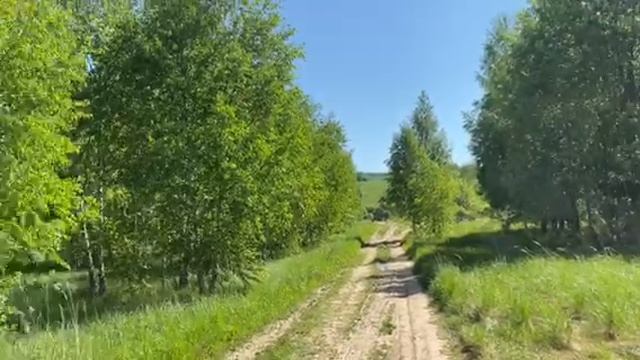 567.mp4 смотреть онлайн