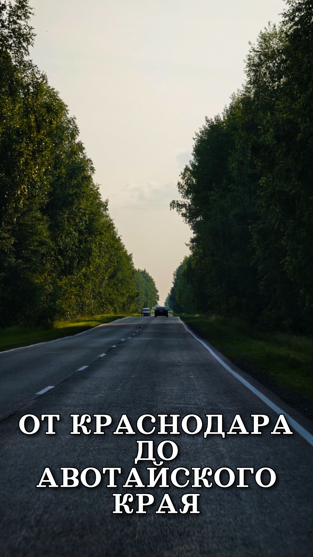 Краснодар - Панкрушиха наш путь на машине, лето 2025 смотреть онлайн