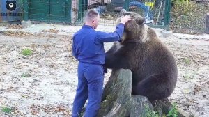 Человек и медведь. Соскучились оба